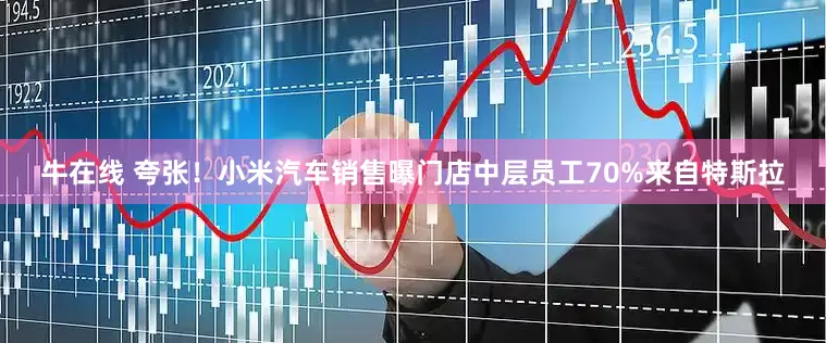 牛在线 夸张！小米汽车销售曝门店中层员工70%来自特斯拉