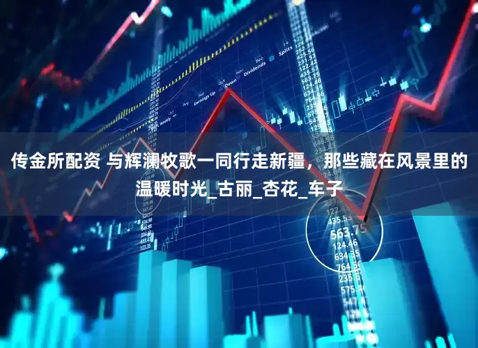 传金所配资 与辉澜牧歌一同行走新疆，那些藏在风景里的温暖时光_古丽_杏花_车子