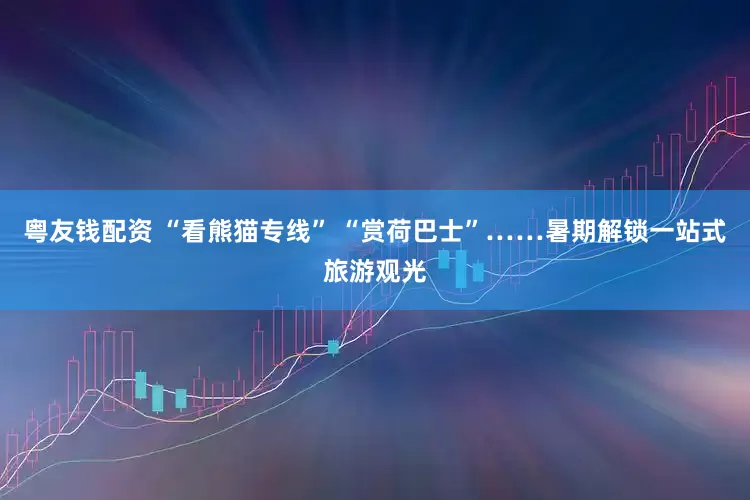 粤友钱配资 “看熊猫专线” “赏荷巴士”……暑期解锁一站式旅游观光