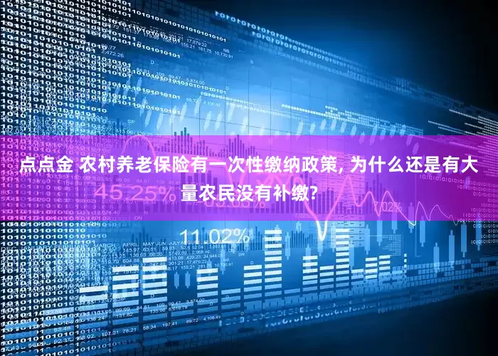 点点金 农村养老保险有一次性缴纳政策, 为什么还是有大量农民没有补缴?